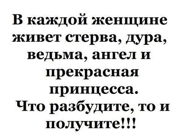   - 19  2025  15:10