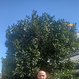 , 61, 