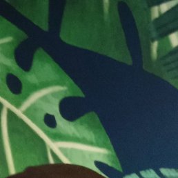 ���, ����, 52 ����