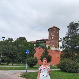 , 71, 