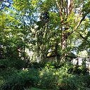 ���� �������, �����, 62 ���� - ��������� 1 �������� 2025 � ������ ���� ����������