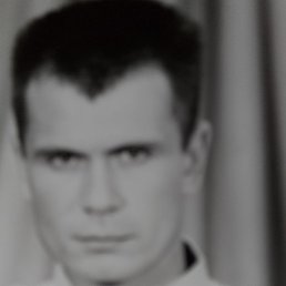 , 51 ,  