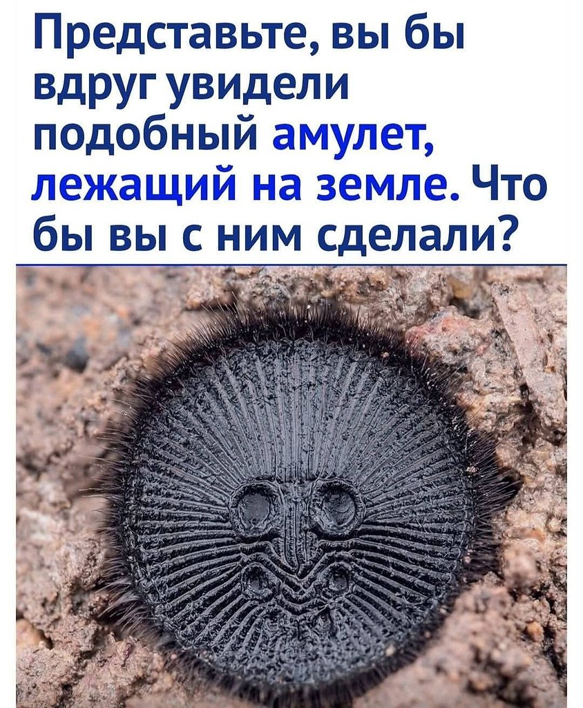 :)  - ...