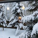 ���� ������, ��������, 57 ��� - ��������� 10 ������ 2026 � ������ ���� ����������