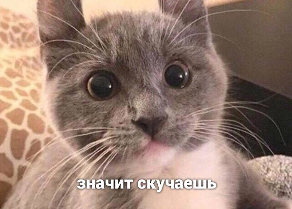  , ) - 3