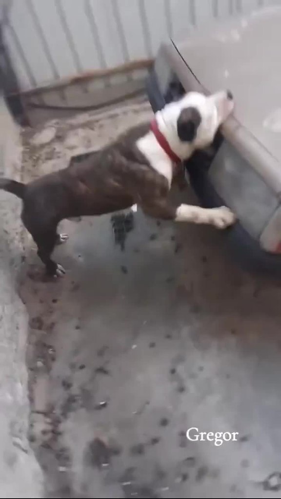 �������, ������ ������� ��������, ����� ������ �� �������) - 2