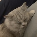 ���� �����, ��������, 48 ��� - ��������� 15 ������ 2025 � ������ ������ ��������