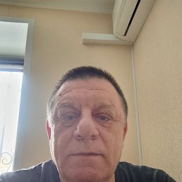 ������, 66 ���, ������