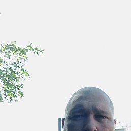 , 41, 