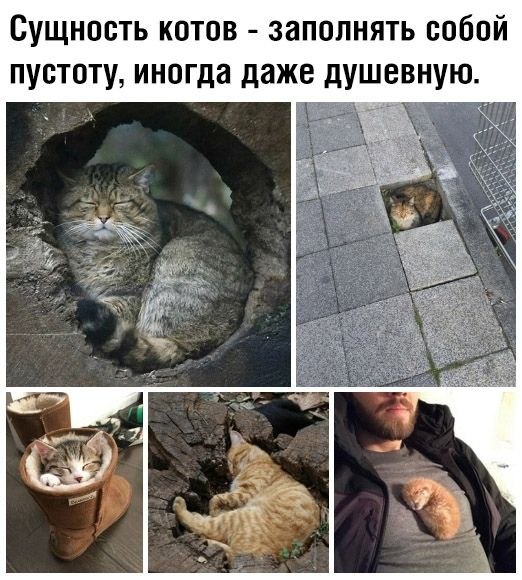 ��� ���� - 20 ������� 2025 � 19:59