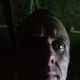 , 46, 