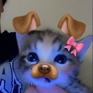  , 17 , 