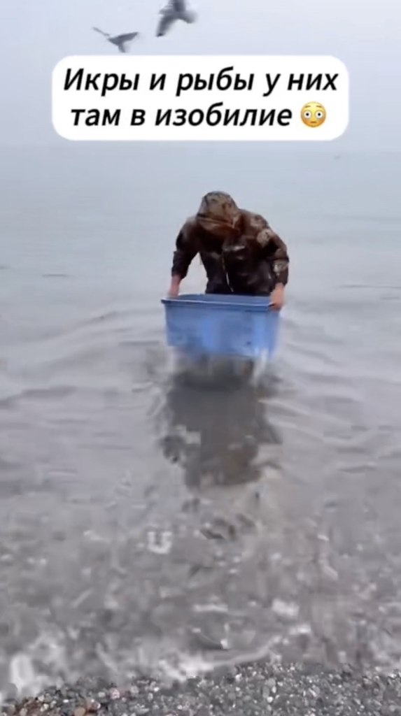   . - 2