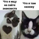 ���� ������, ����������� - ��������� 10 ������ 2026