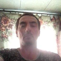 ���� ������, 42 ����, ������