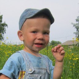 ���������, ���������, 85 ���