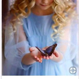 ��������, �����������, 53 ����