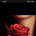  ,  , 55  -  31  2025