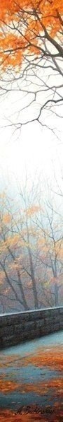    - 11  2024  14:36