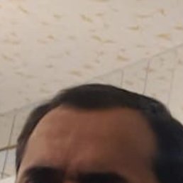 , 53 ,  