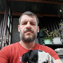 , 41, 