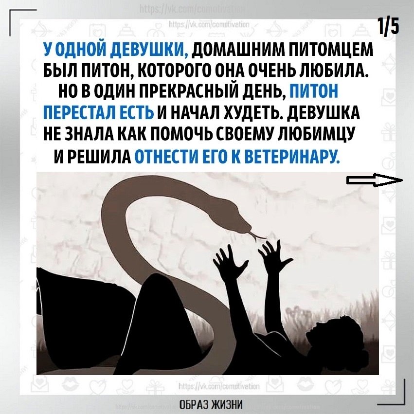 �o����� o� ��o�.