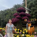  , -, 60  -  15  2025   2025