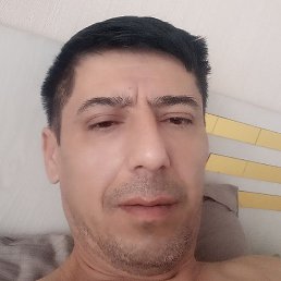 ��������, �������, 48 ���