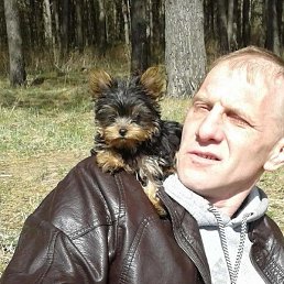 �������, ��������, 53 ����