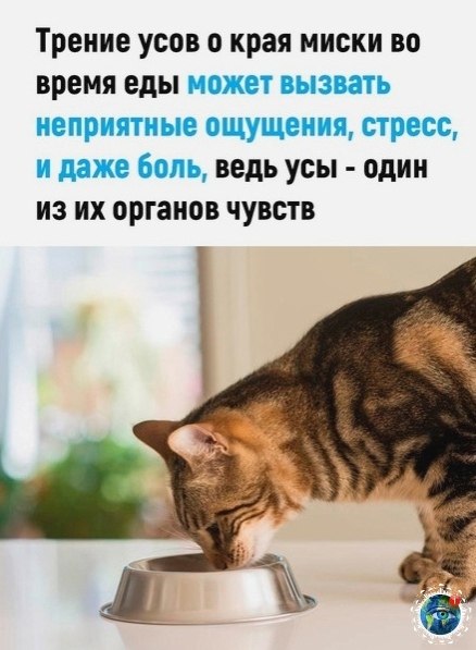 aaec o o! - 2