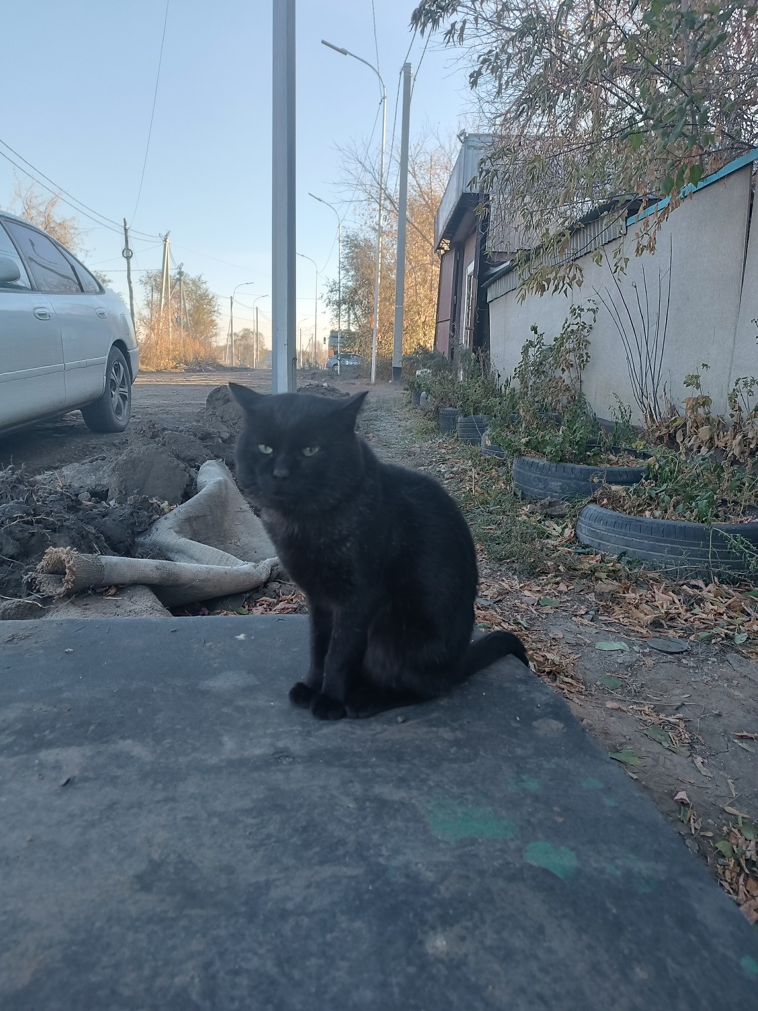 Nurrr - 12  2025  18:20