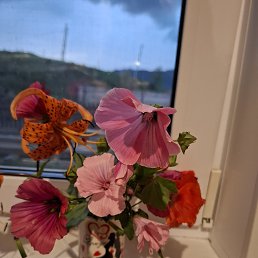 ���� �����, ������, 45 ��� - ��������� 30 ������� 2025