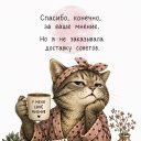 ���� ������, ������ - ��������� 8 ���� 2026 � ������ ������ ��������