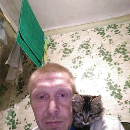 , 38, 