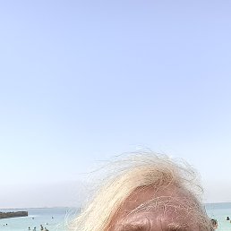 , 67, 