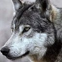 ���� ������, ������, 29 ��� - ��������� 17 ������ 2024 � ������ ���� ����������