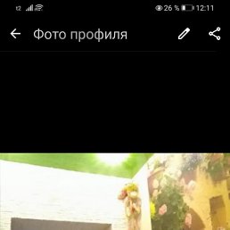 , 41, 