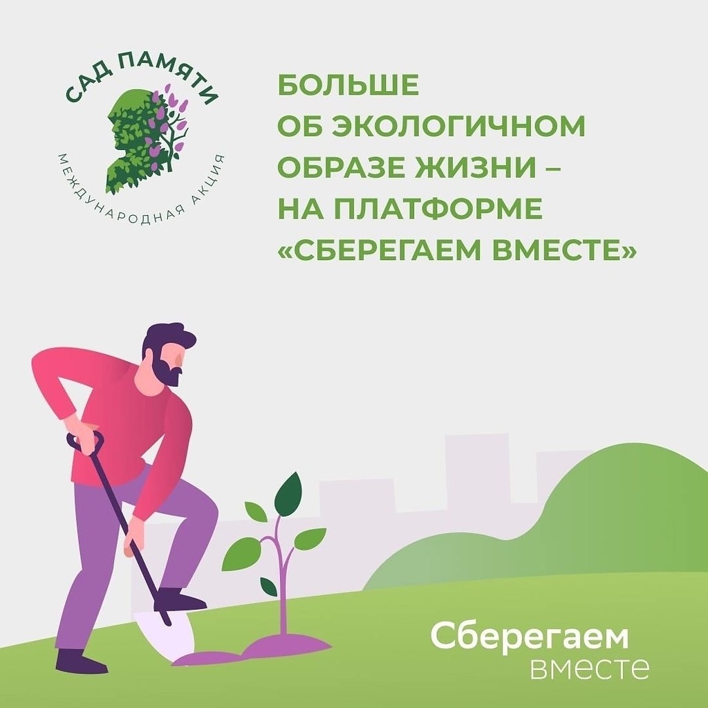   80-          -   ... - 5