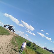 , 46 , 