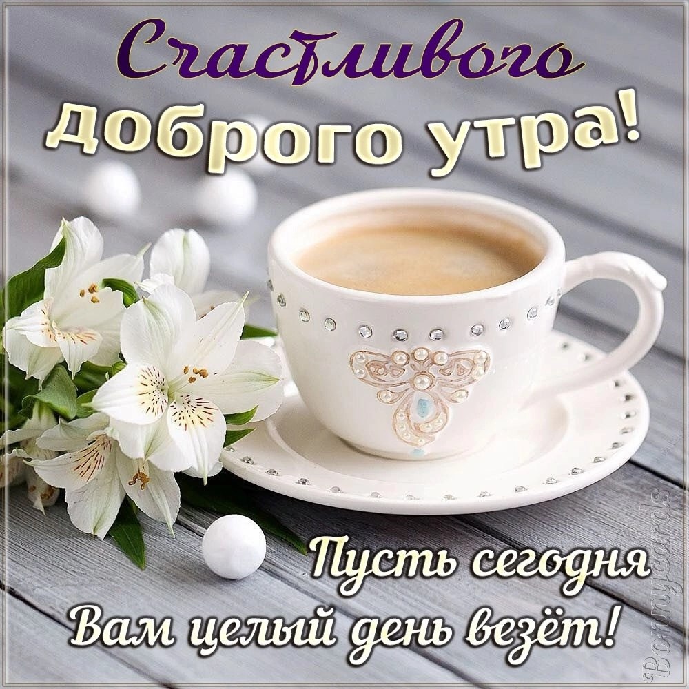 ����������� � ���������, �������� �� ������ ����. - 1 ����� 2026 � 23:35