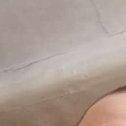 ����, ����, 41 ���