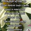 ���� ������, ������, 45 ��� - ��������� 31 ���� 2026 � ������ ���� ����������
