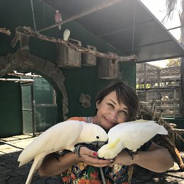 , 60, 
