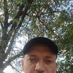 , 44, --