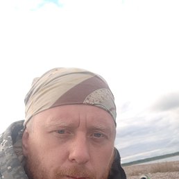 , 37, 