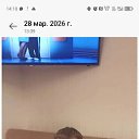 ���� �������, ������������, 50 ��� - ��������� 2 ������ 2026 � ������ ���� ����������