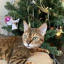 ���� &deg;&bull;&hearts;A����&hearts;&deg;, ������ - ��������� 19 ������� 2023 � ������ ���� ����������