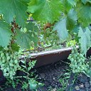 ���� �����, �������� - ��������� 26 ���� 2025 � ������ ������� 2025�