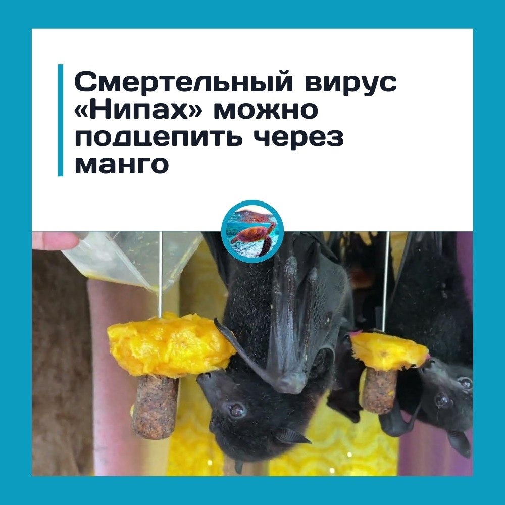 ��ep�e����� ��p�c ���a�� �o��o �o��e���� �epe� �a��o.epe�oc���a�� ��p�ca c���a��c� �e����e ��c���, ...