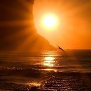 ���� ������, �����-��������� - ��������� 15 ������ 2023 � ������ ���� ����������